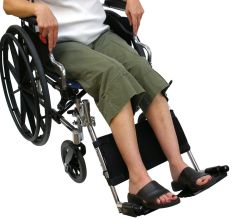 Calf Panel, Standard, Small 11" x 4"